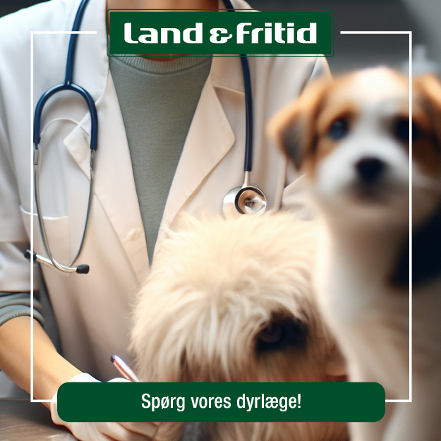 24044_Redesign_generelle_300x300px3