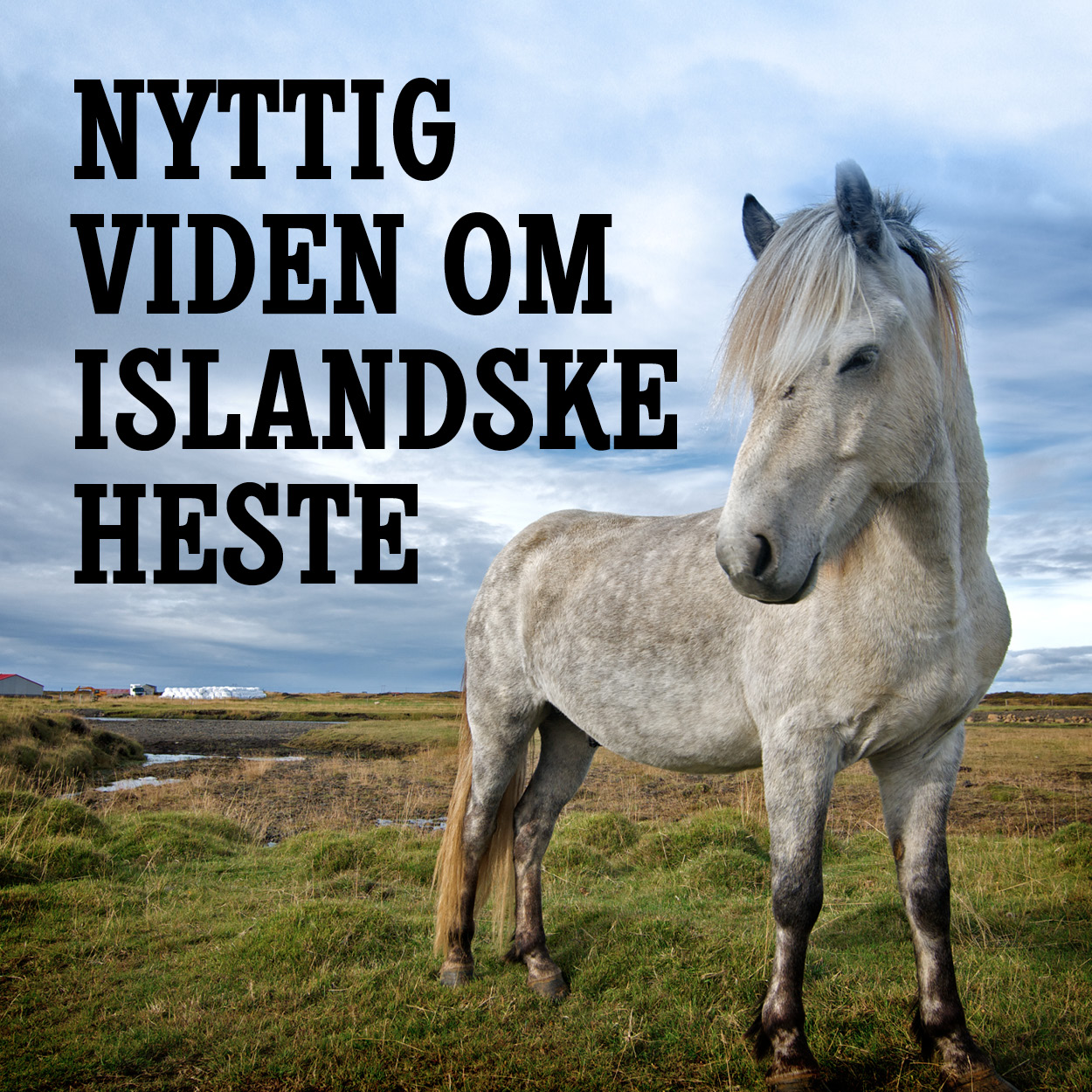 LOF_5_bannerbestilling_anvendelsepåshoppen8